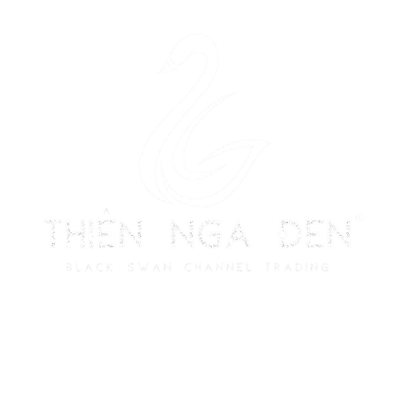logo Thiên Nga Đen